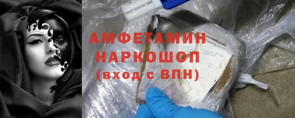 молекула духа Арсеньев