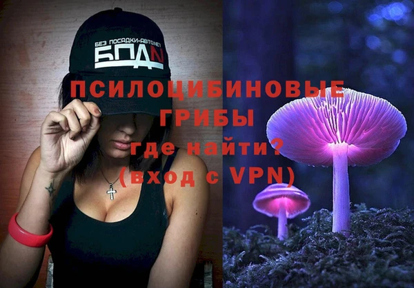 спиды Зерноград