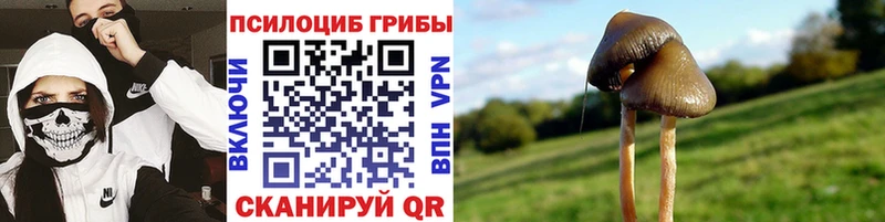 Псилоцибиновые грибы GOLDEN TEACHER  Унеча 