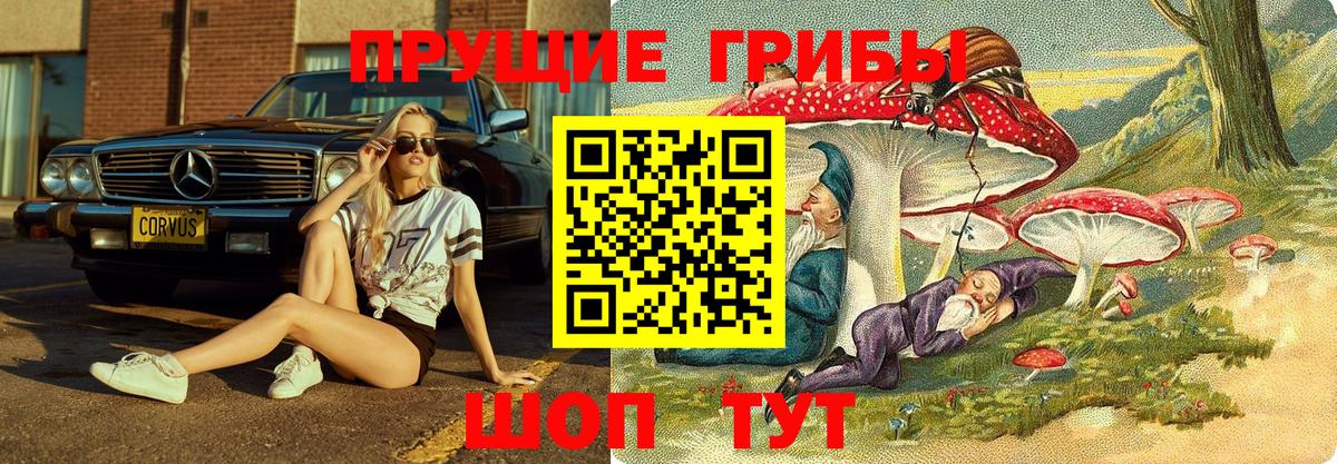 Галлюциногенные грибы мицелий  Вход с VPN  Унеча 