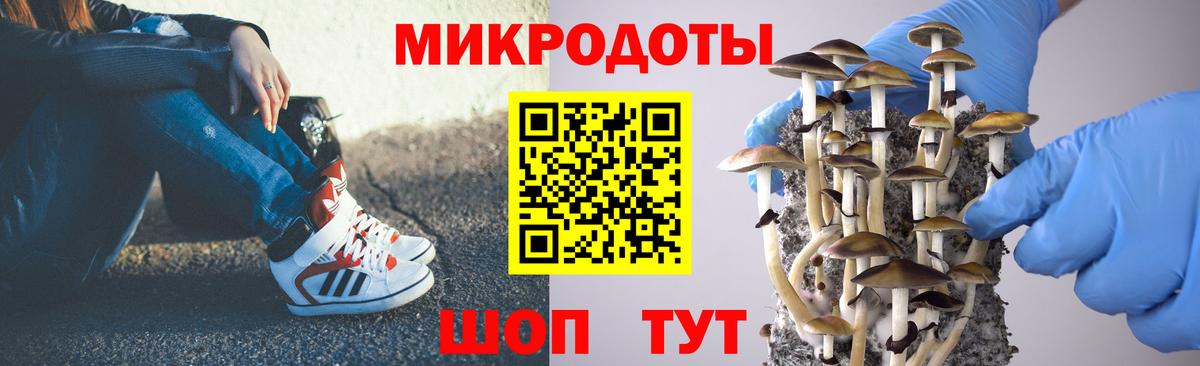 Галлюциногенные грибы мухоморы Унеча